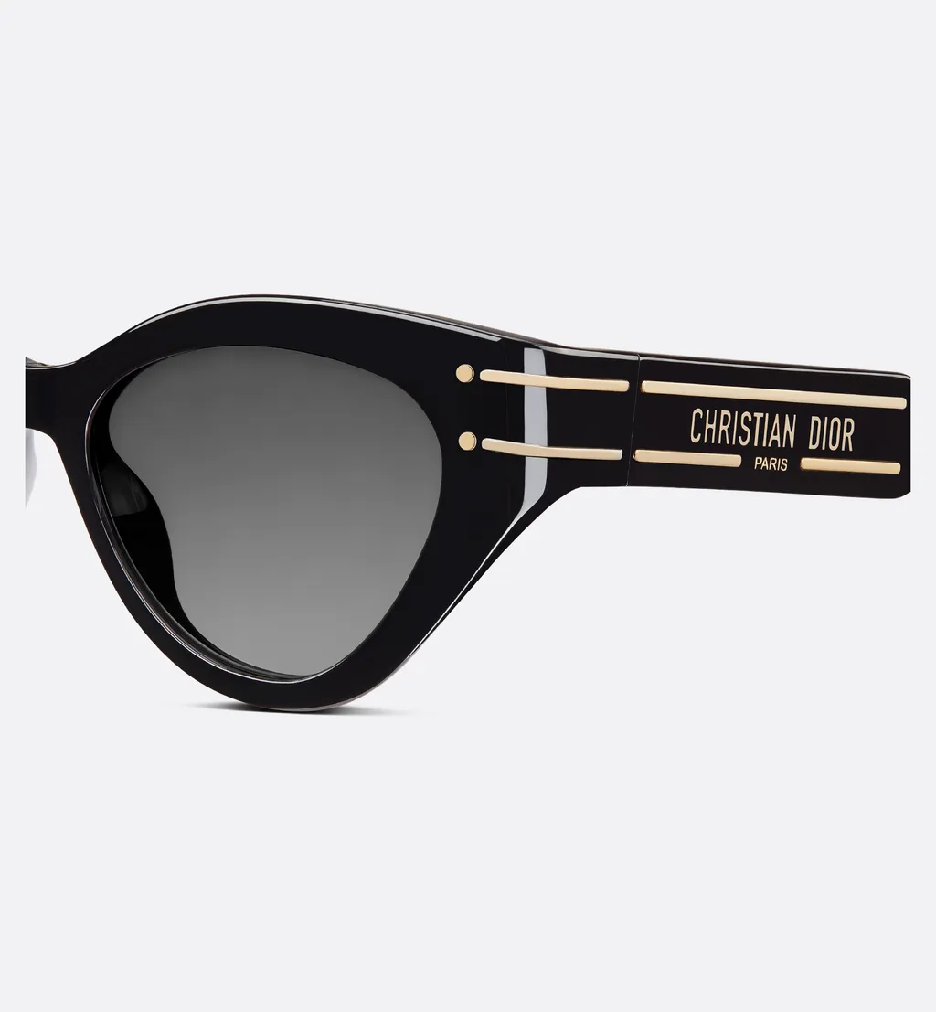 Diorsignature B7I