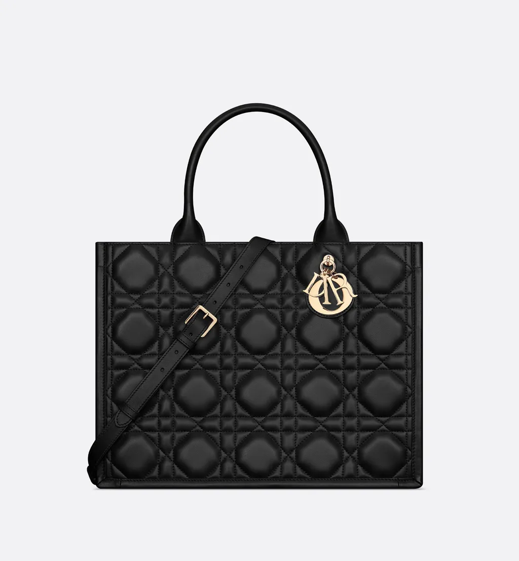 Medium Dior Book Tote