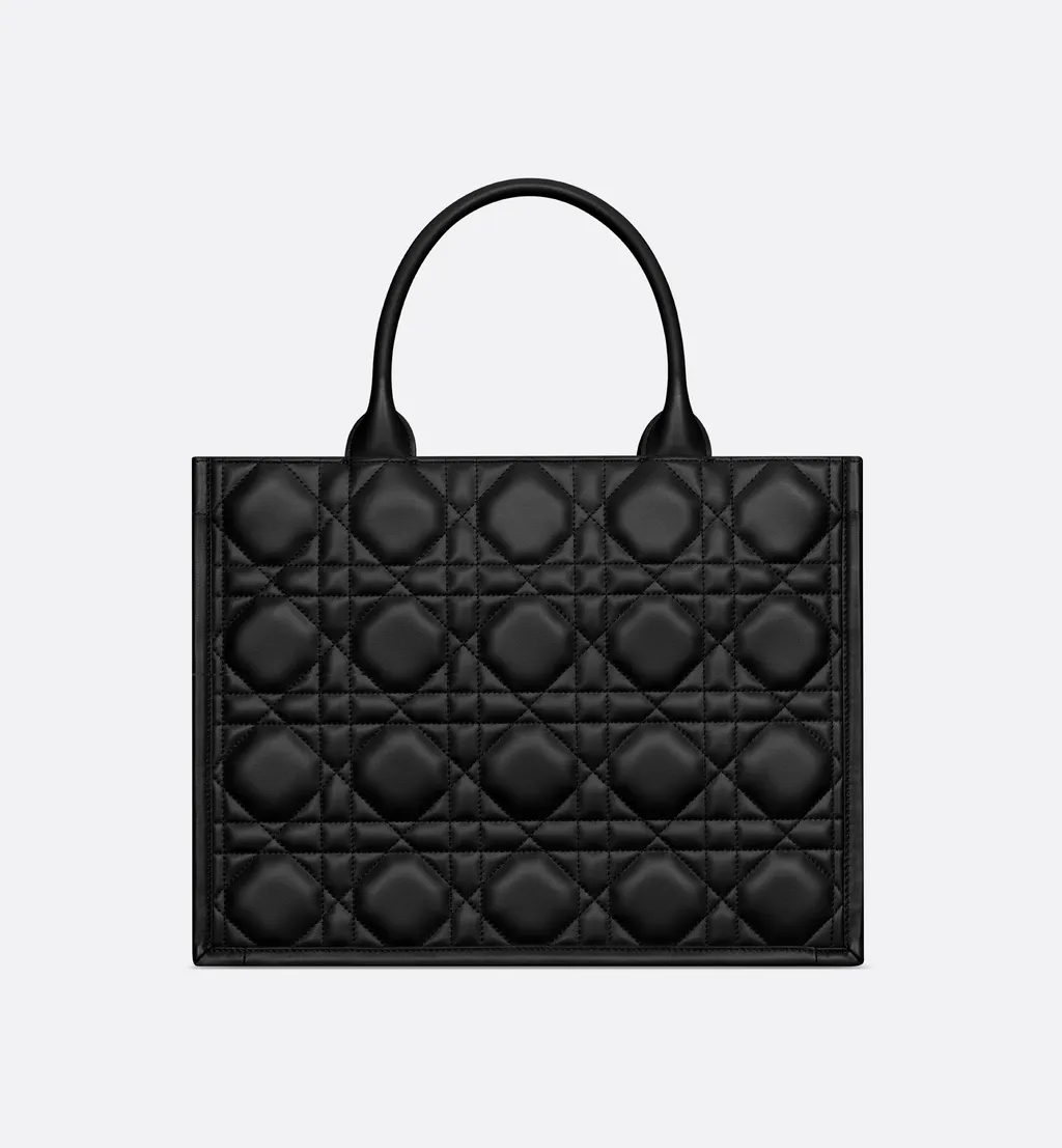 Medium Dior Book Tote