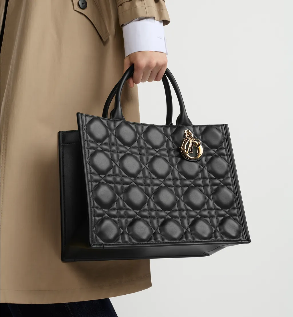Medium Dior Book Tote