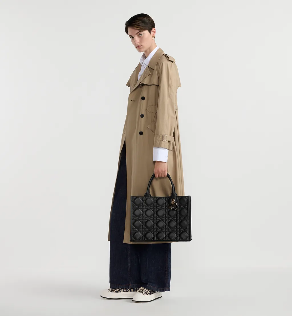Medium Dior Book Tote