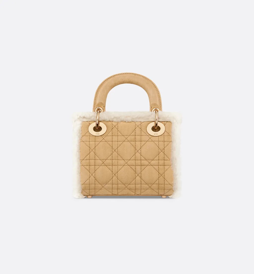 Mini Lady Dior Bag