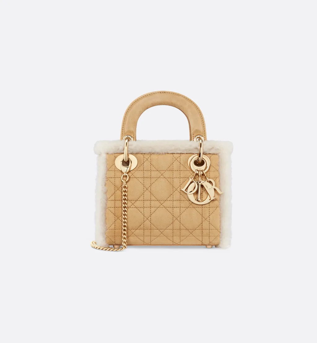 Mini Lady Dior Bag