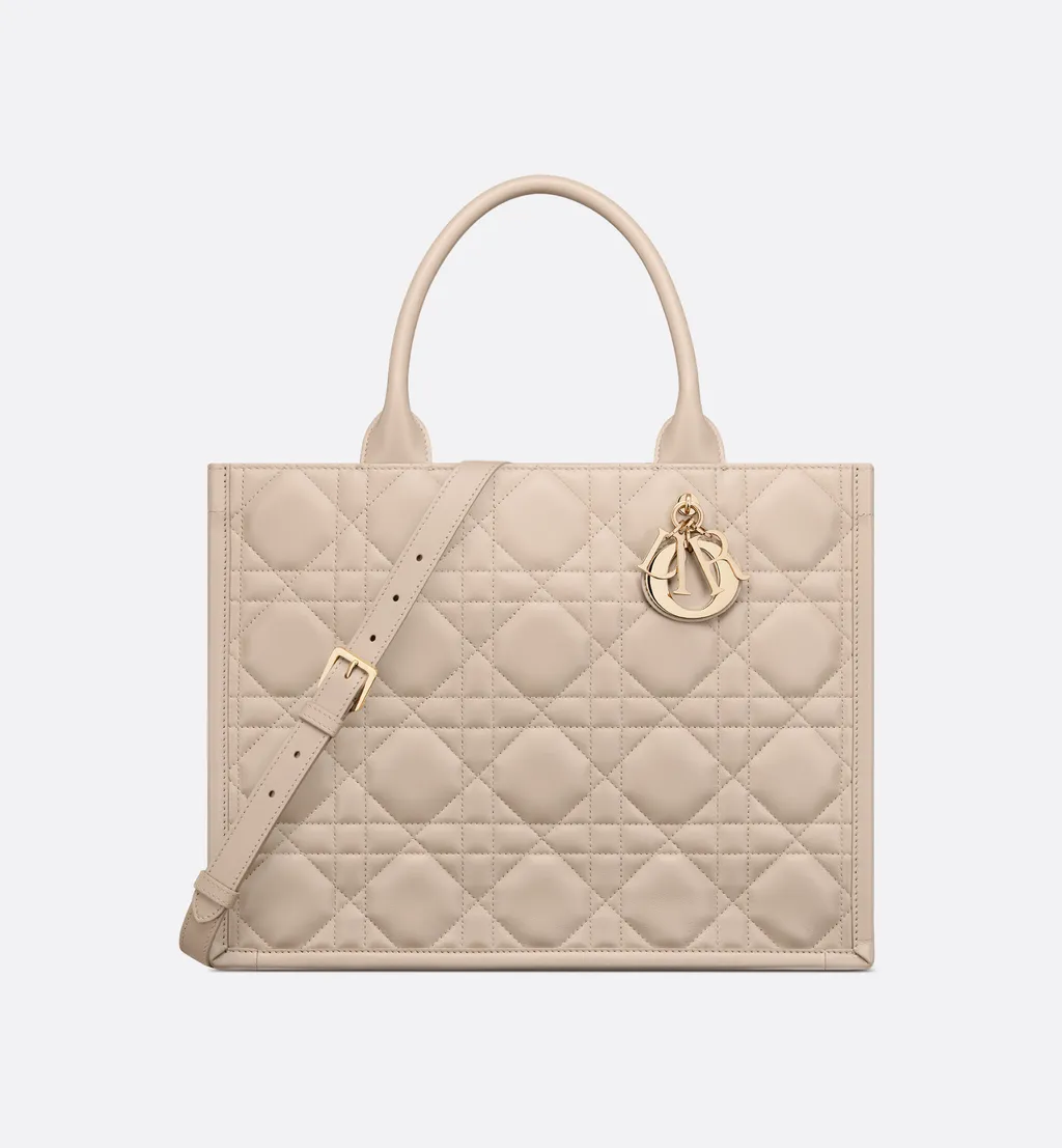 Medium Dior Book Tote