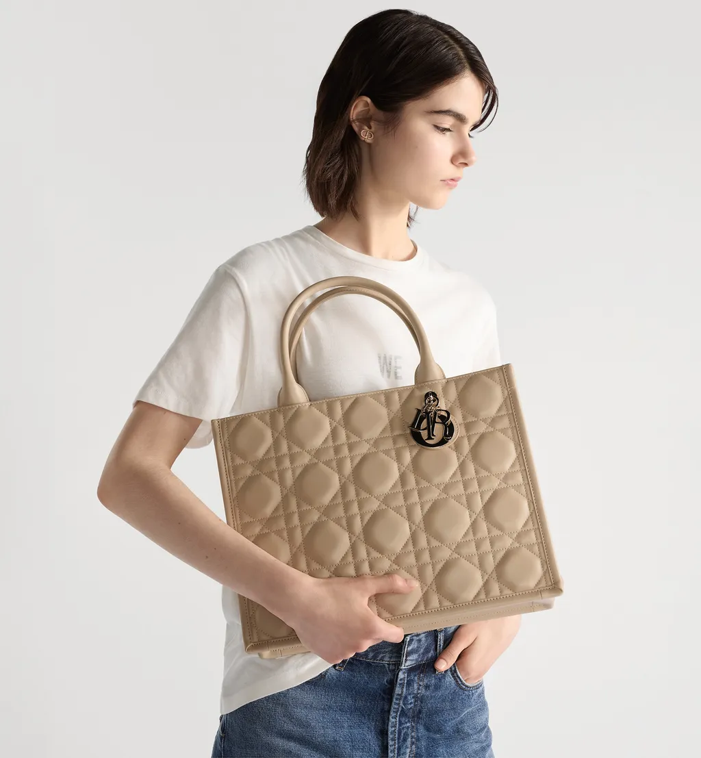 Medium Dior Book Tote