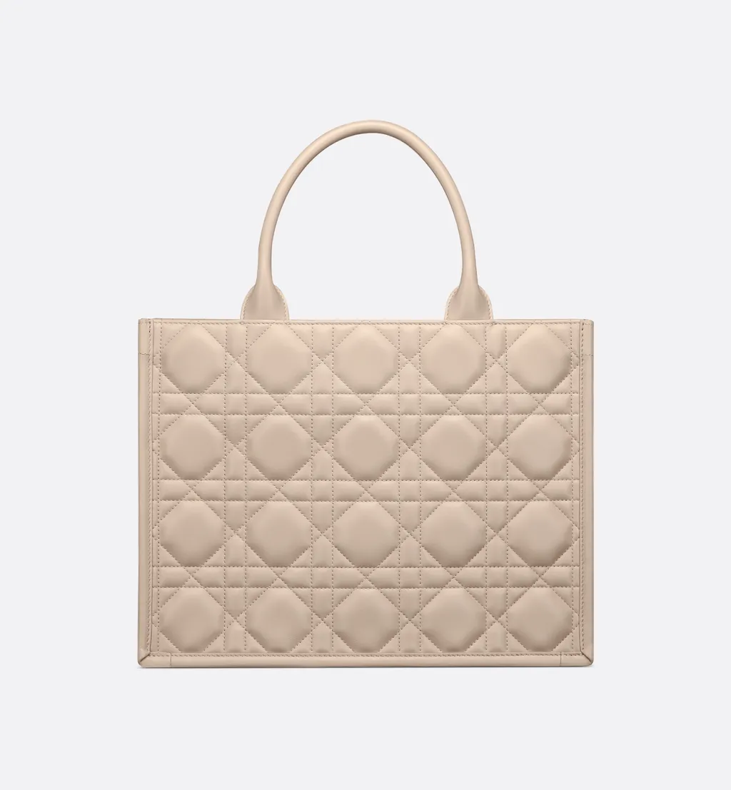 Medium Dior Book Tote