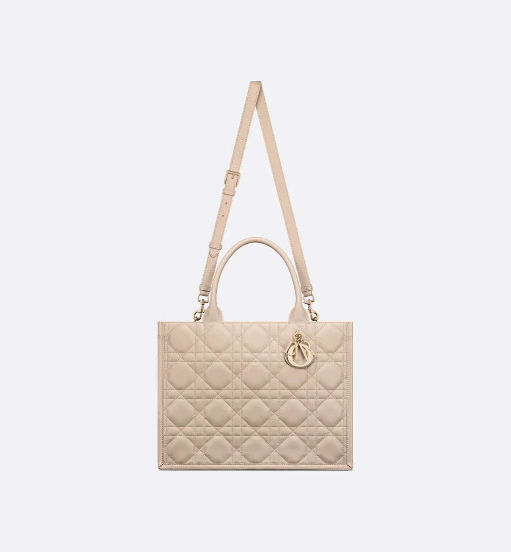 Medium Dior Book Tote