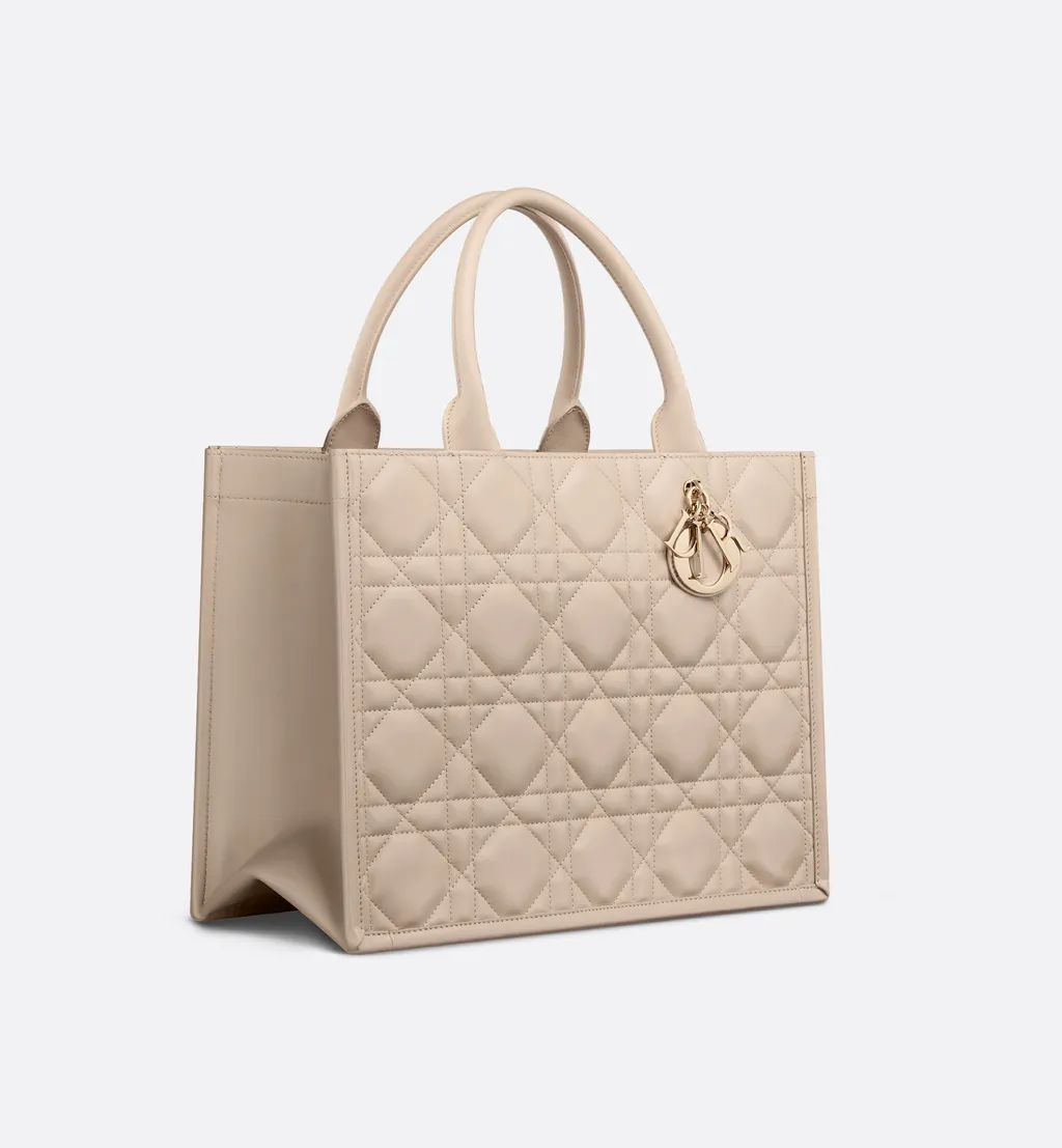 Medium Dior Book Tote