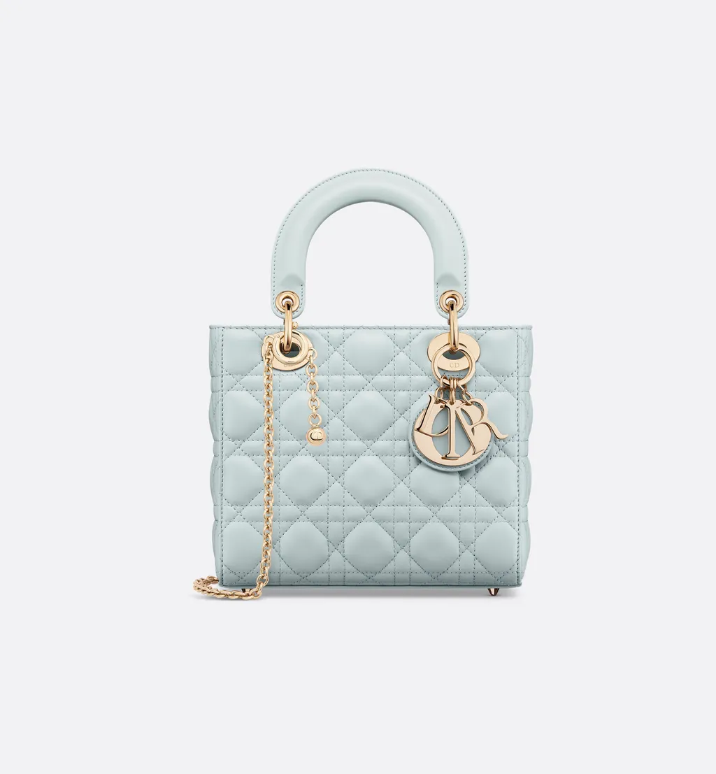 My Lady Dior And I Bag