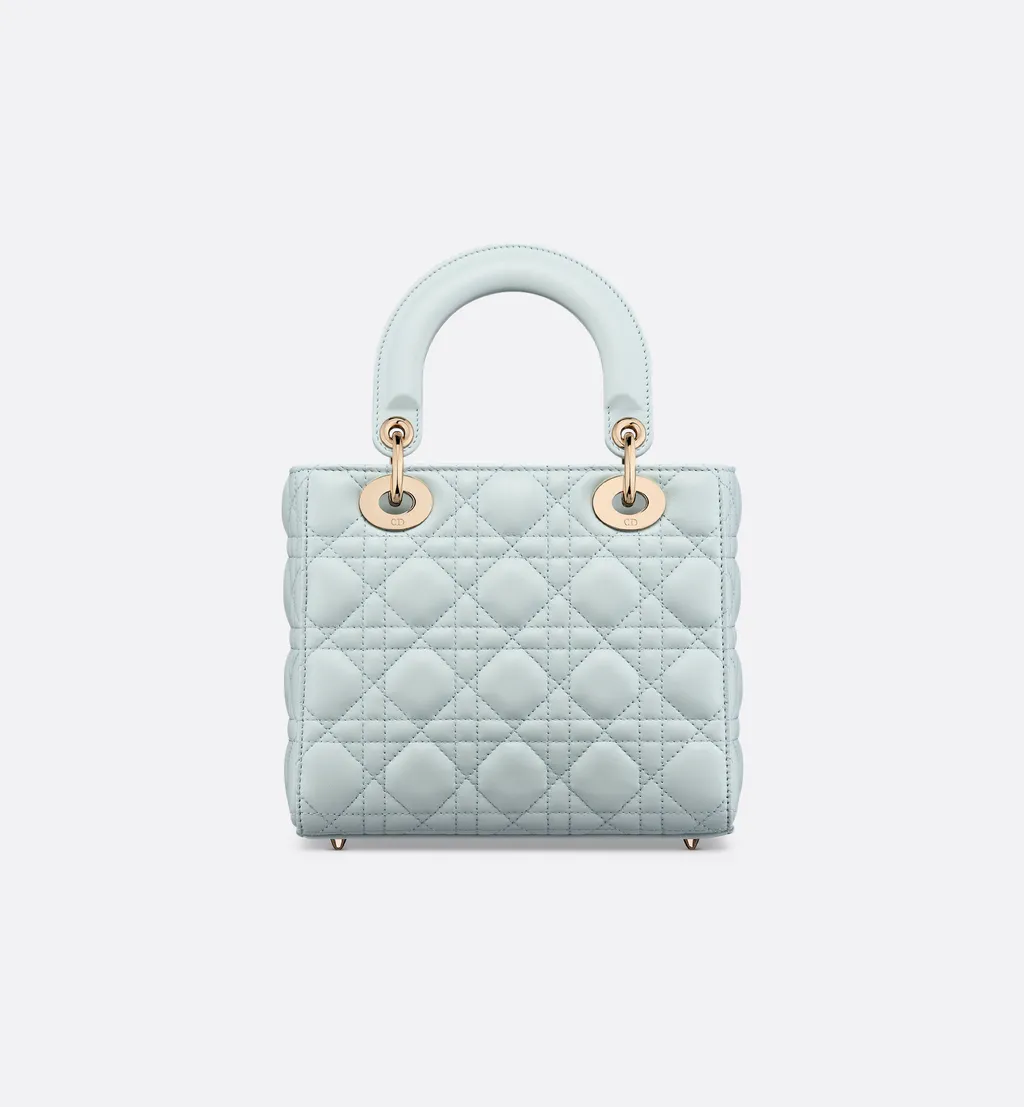 My Lady Dior And I Bag