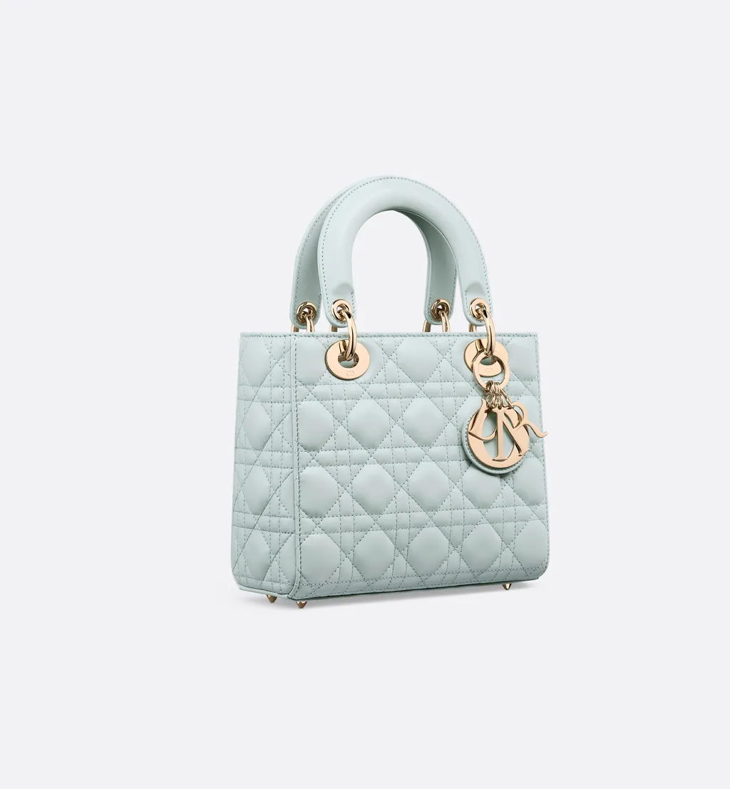 My Lady Dior And I Bag