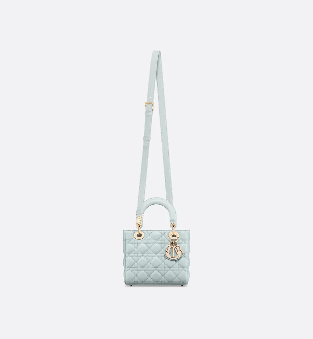 My Lady Dior And I Bag