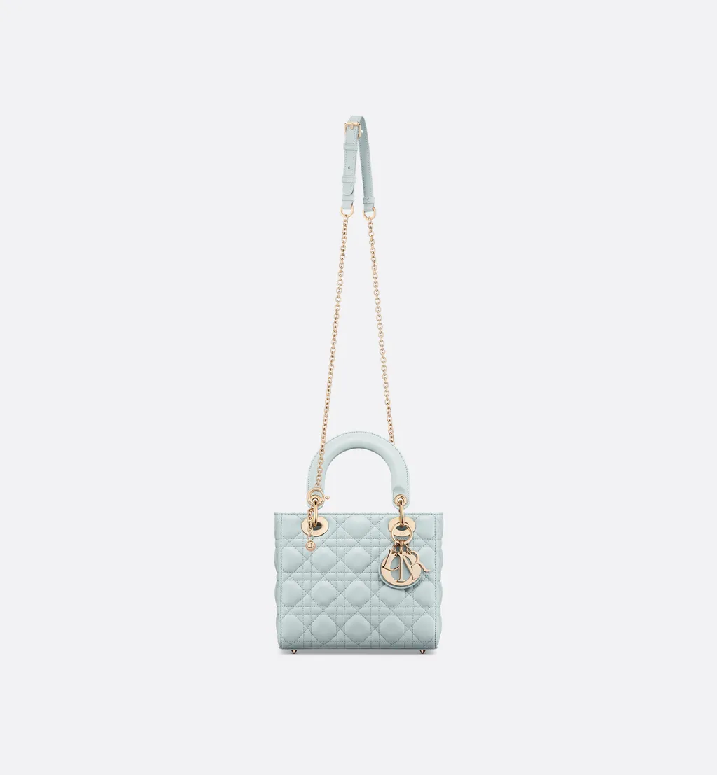 My Lady Dior And I Bag