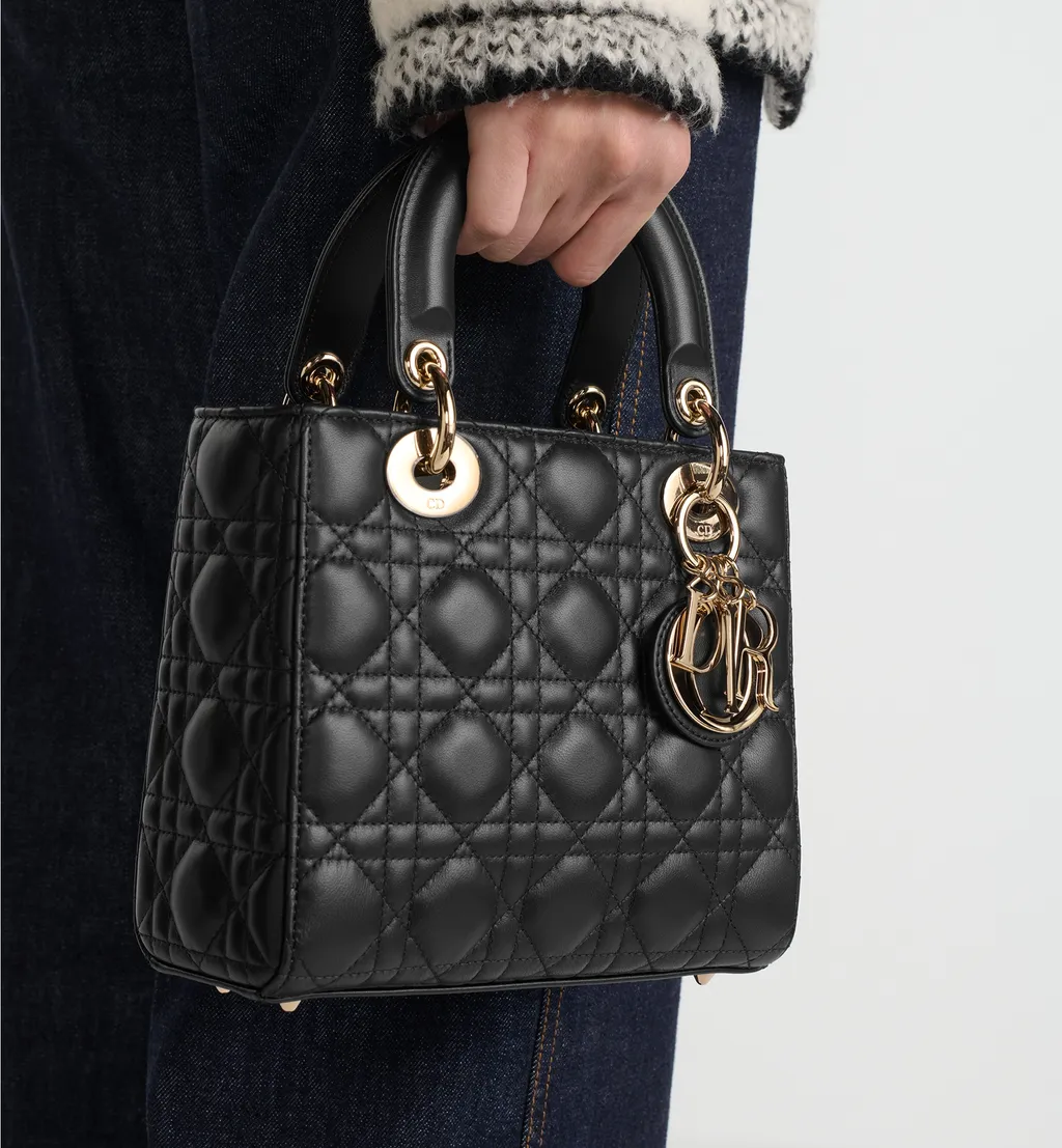 Small Lady Dior My Abcdior Bag