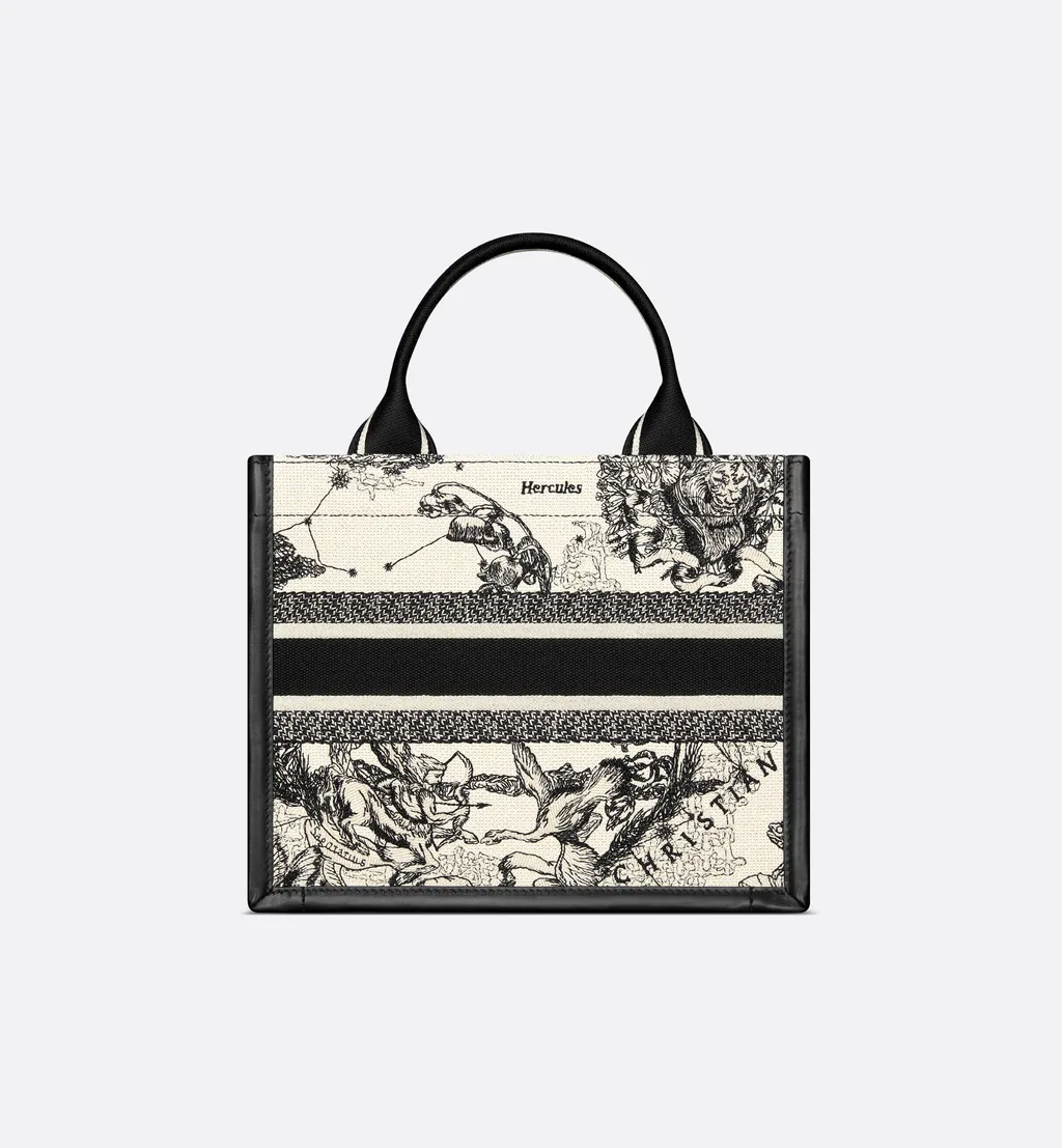 Small Dior Book Tote