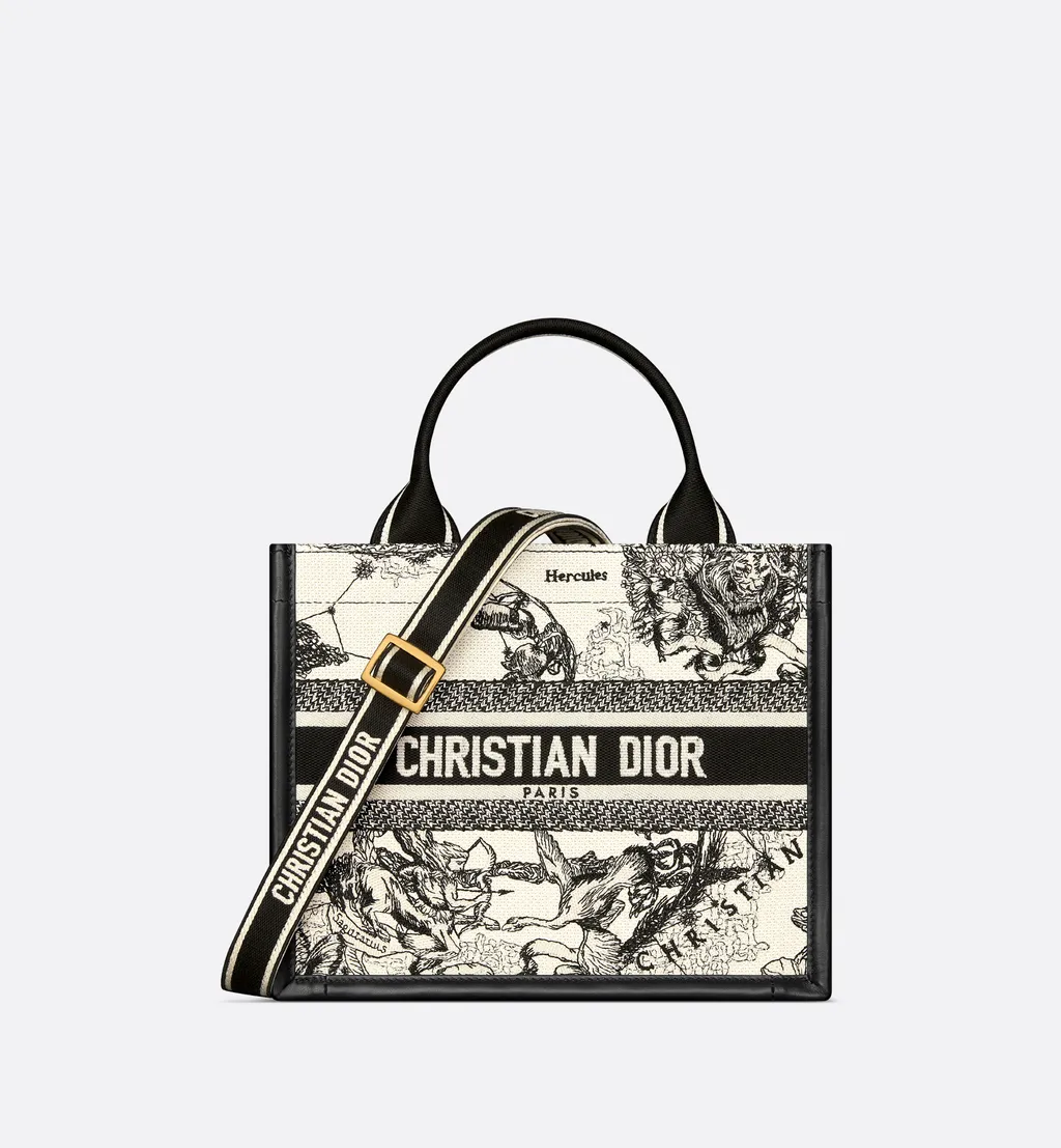 Small Dior Book Tote