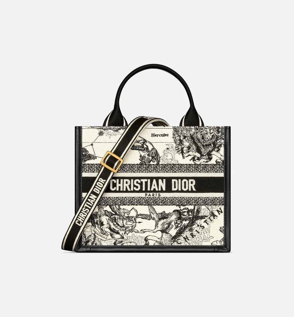 Small Dior Book Tote