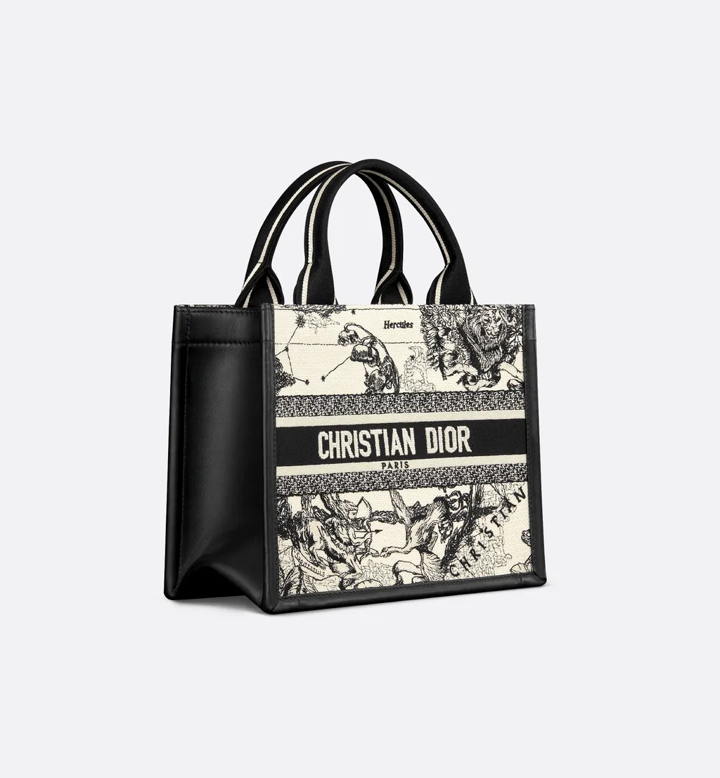 Small Dior Book Tote
