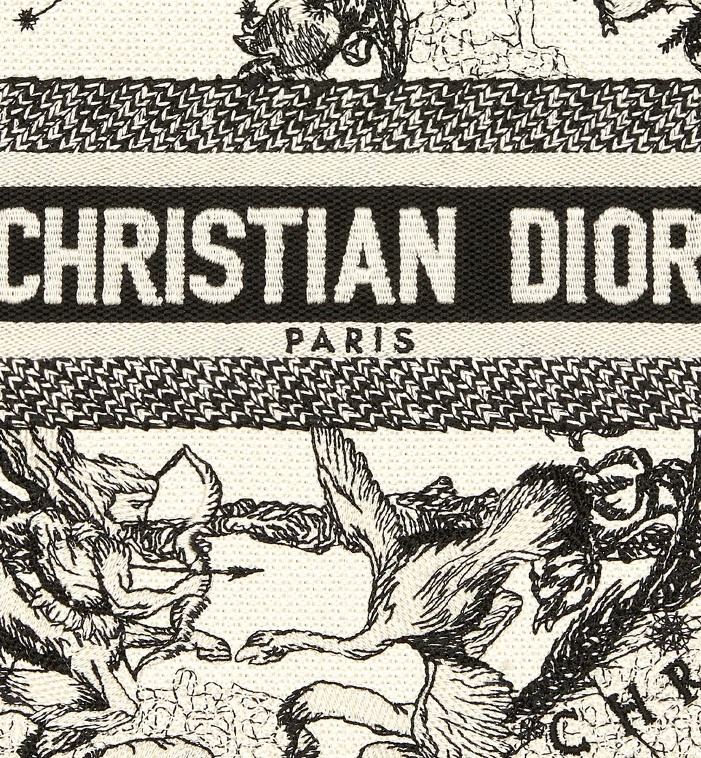 Small Dior Book Tote