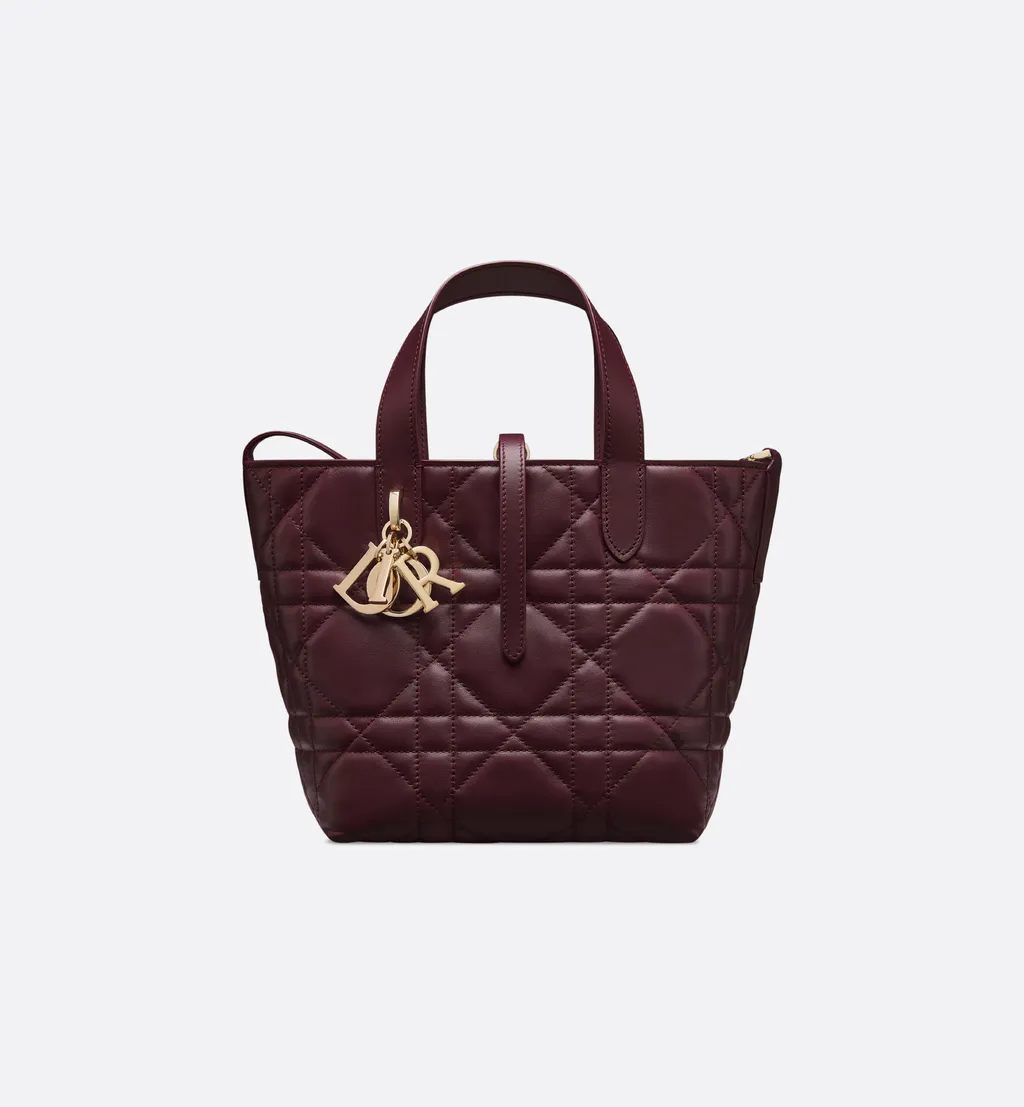 Small Dior Toujours Vertical Tote Bag