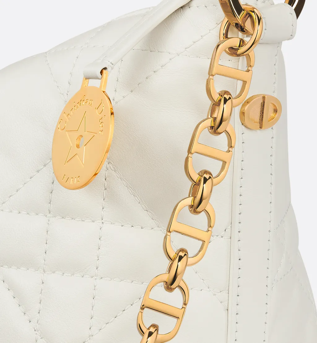Diorstar Hobo Bag With Chain