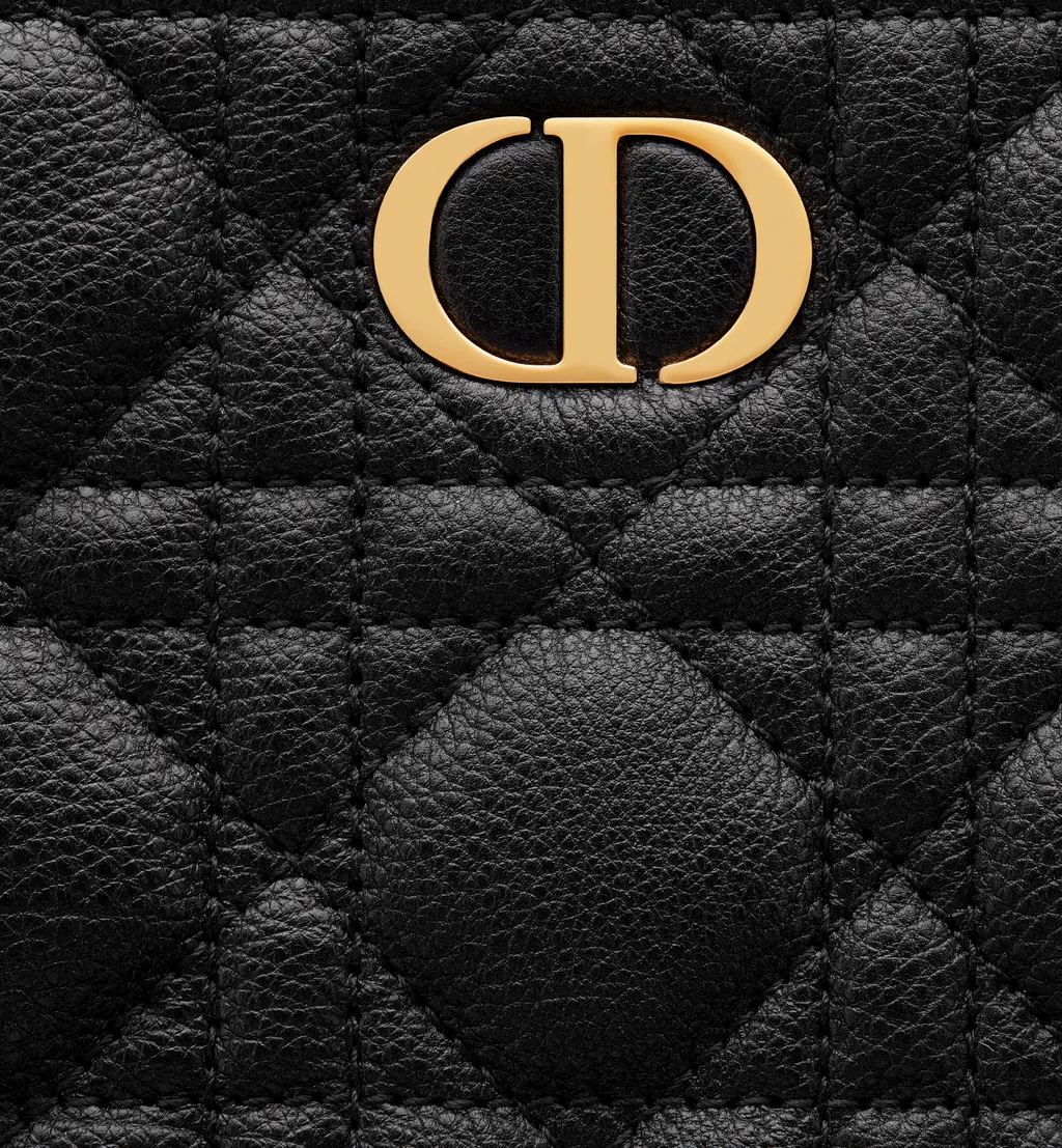Medium Dior Caro Daily Pouch