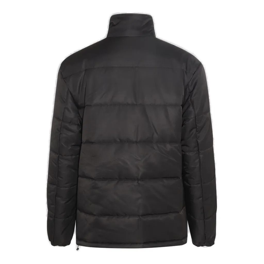 Dolce & Gabbana High Neck Zipped Padded Jacket