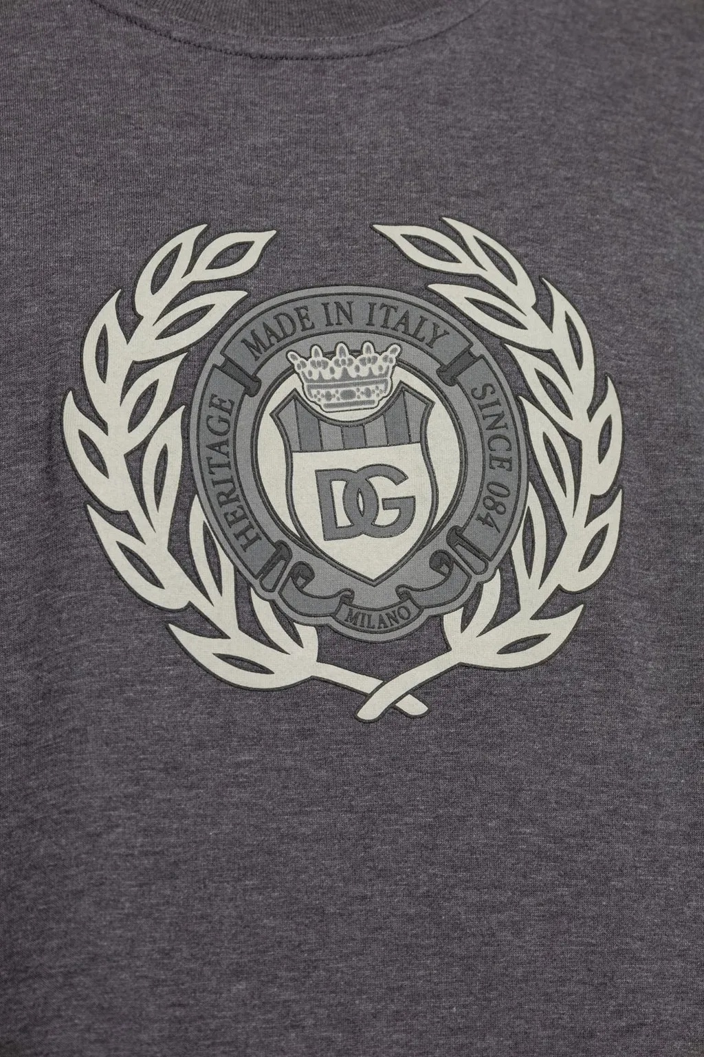 Dolce & Gabbana Logo Printed Crewneck T-Shirt