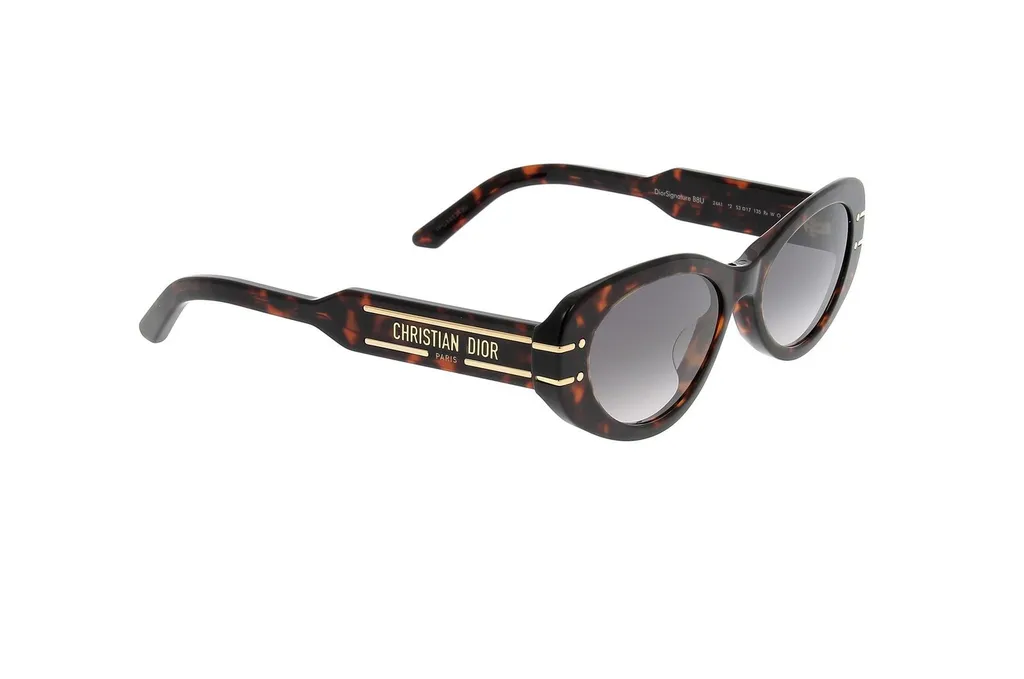 Dior Eyewear Oval Frame Sunglasses