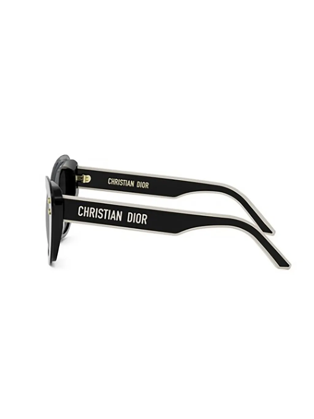Dior Eyewear Butterfly Frame Sunglasses