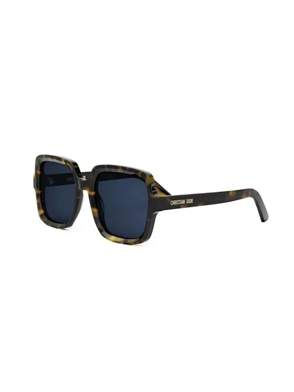 Dior Eyewear Square Frame Sunglasses