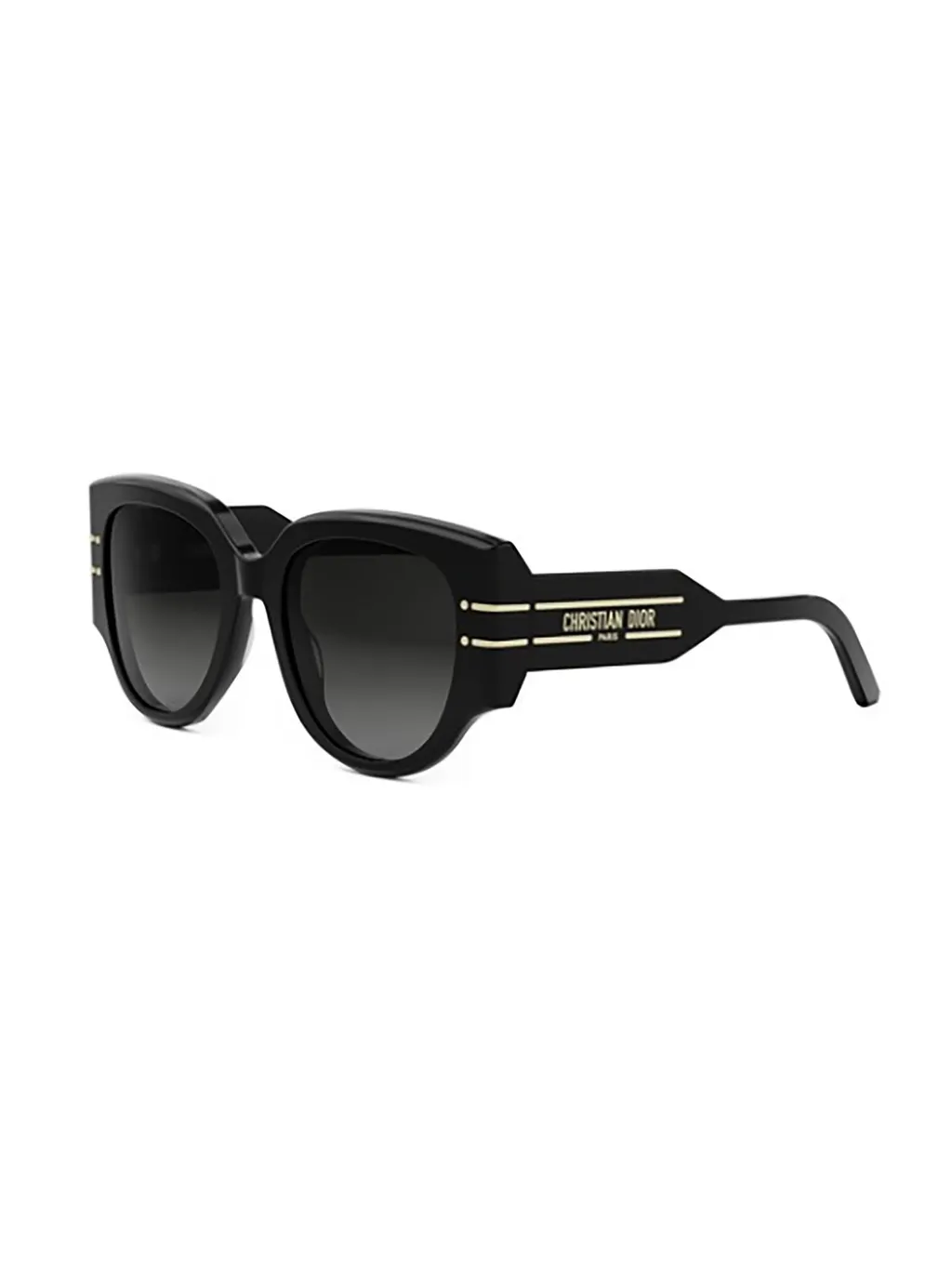 Dior Eyewear Diorsignature R2I Round-Frame Sunglasses