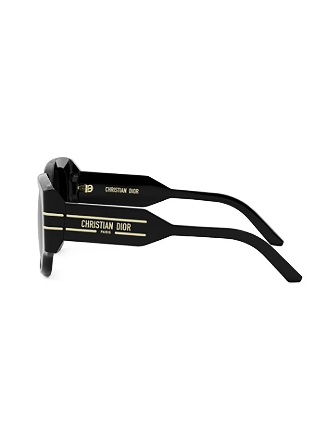 Dior Eyewear Diorsignature R2I Round-Frame Sunglasses