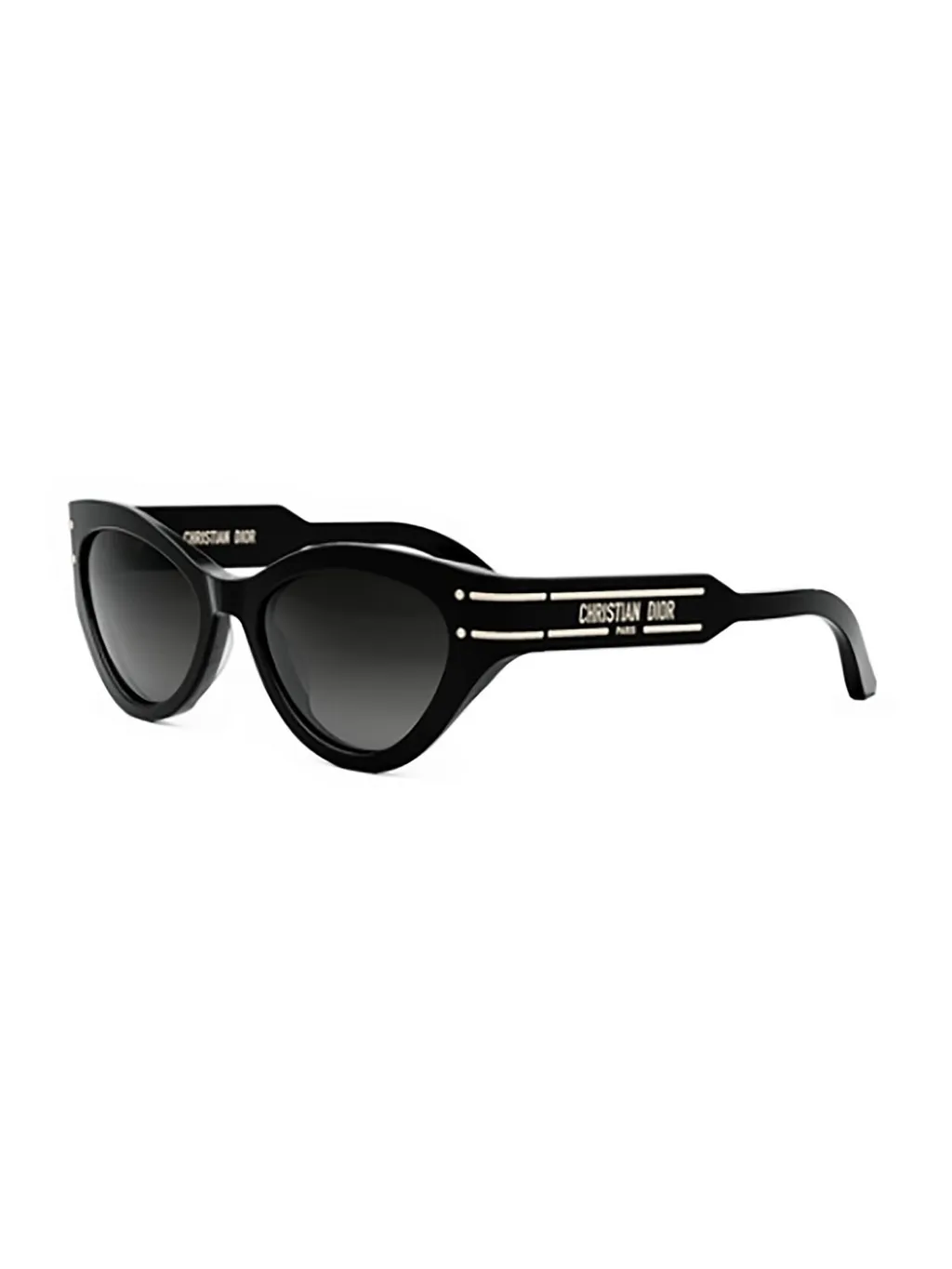 Dior Eyewear Diorsignature B7I Butterfly Sunglasses