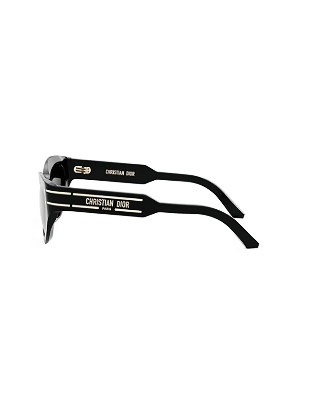 Dior Eyewear Diorsignature B7I Butterfly Sunglasses