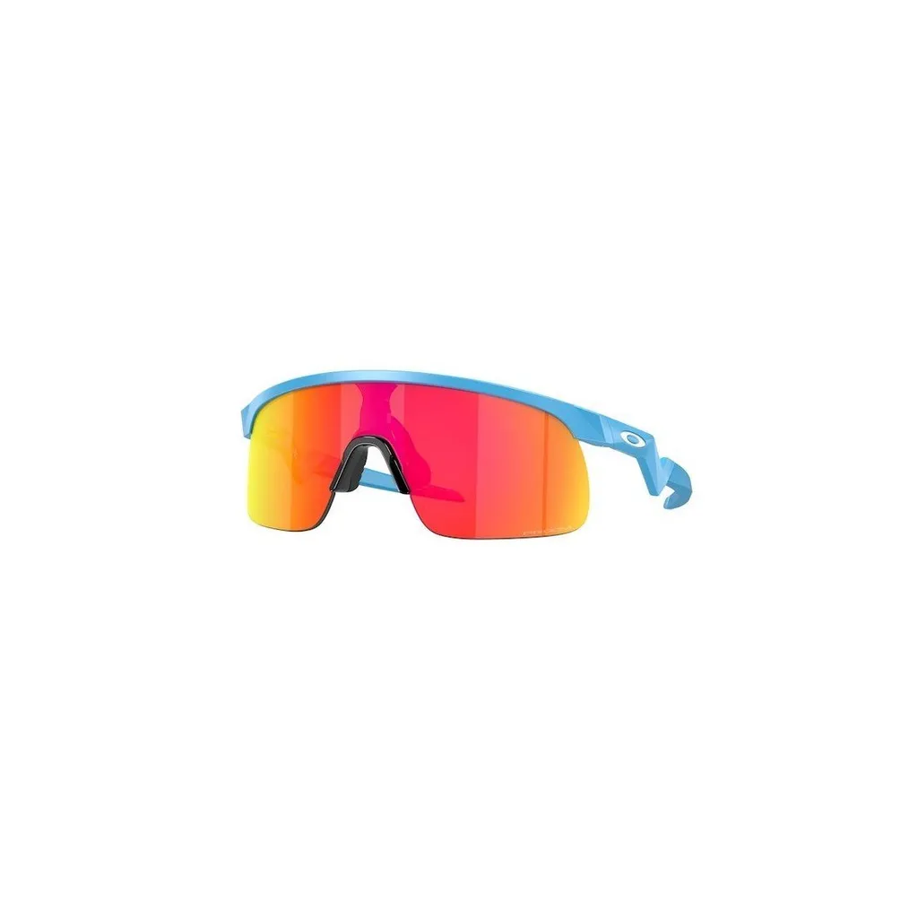 Oakley Resistor Sunglasses