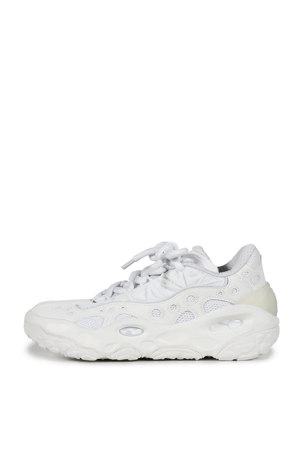 La France Rnnr / Wht