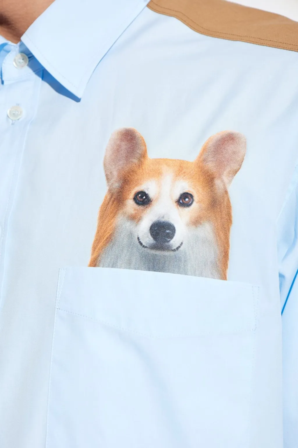 Moschino Dog Printed Shirt