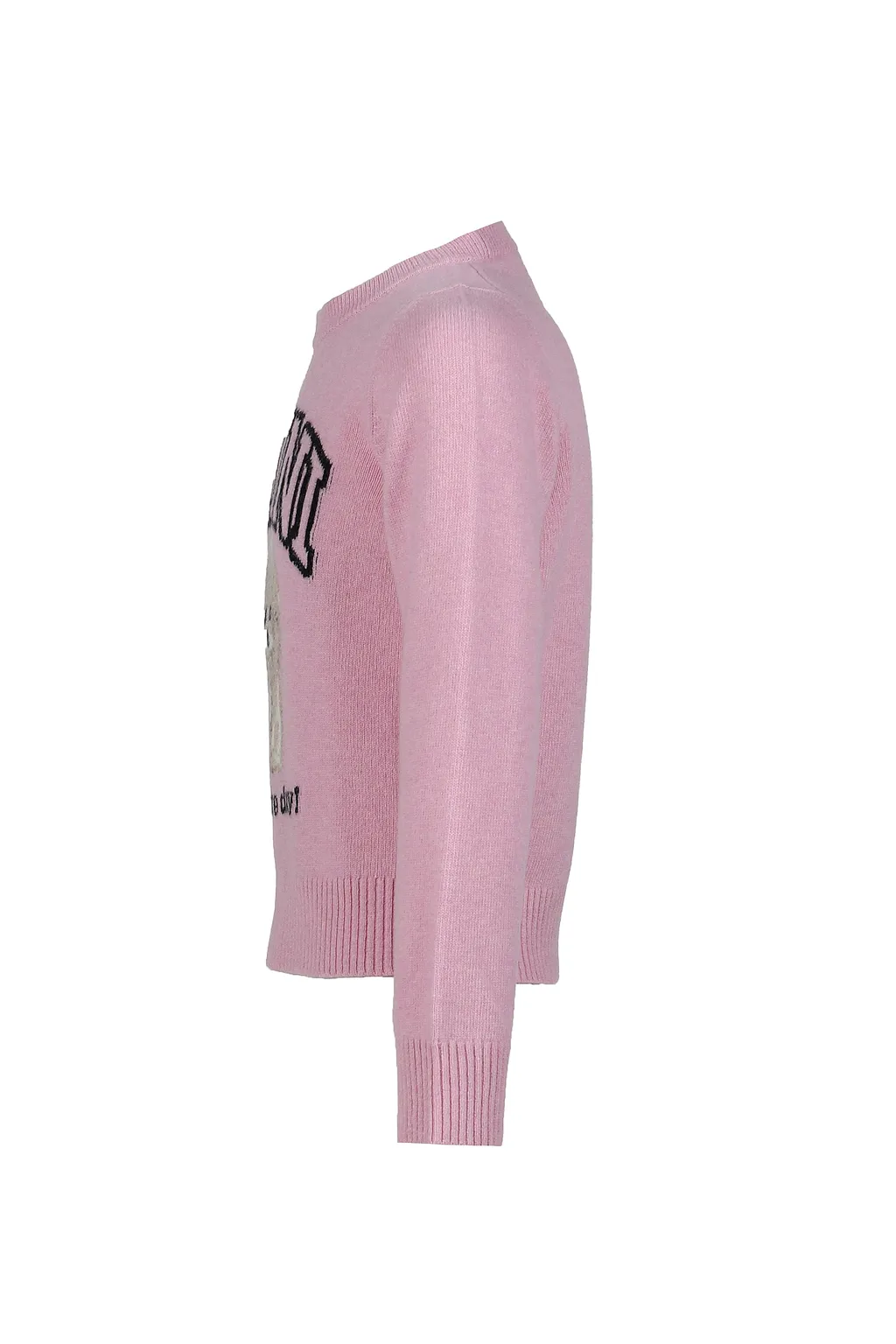 Graphic Wool Mix Poodle Crewneck / Chalk Pnk