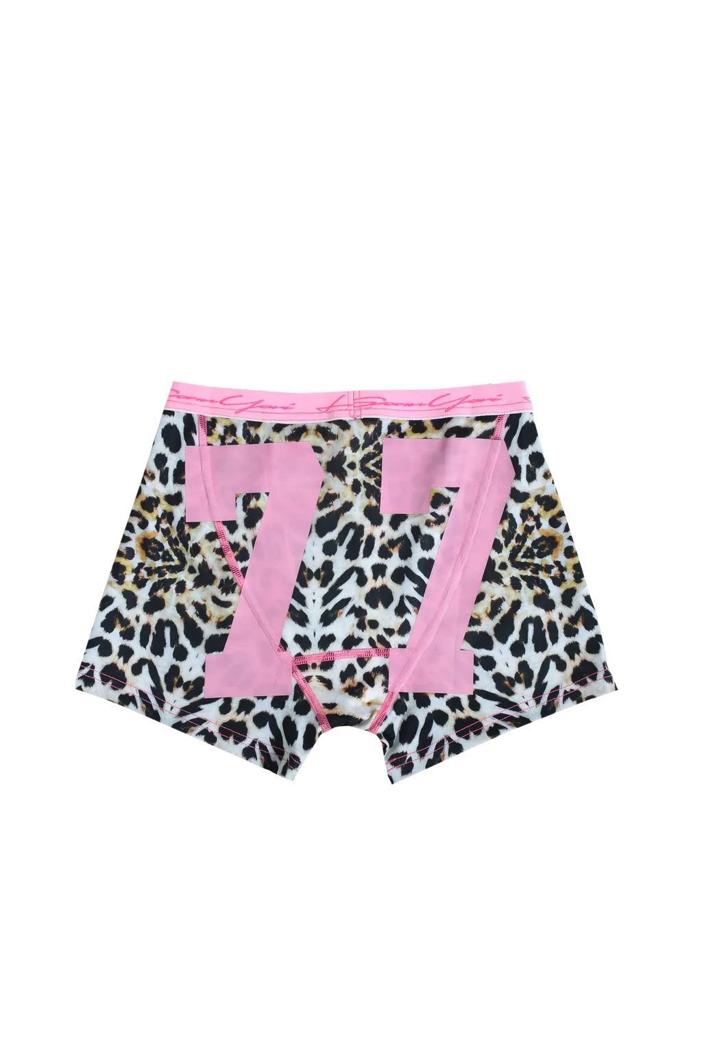 Ysww Lsy Compression Briefs / Cheetah