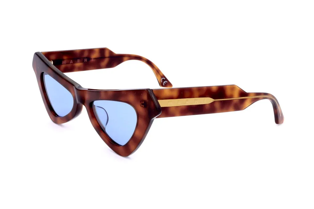 Marni Eyewear Fairy Pools Cat-Eye Sunglasses