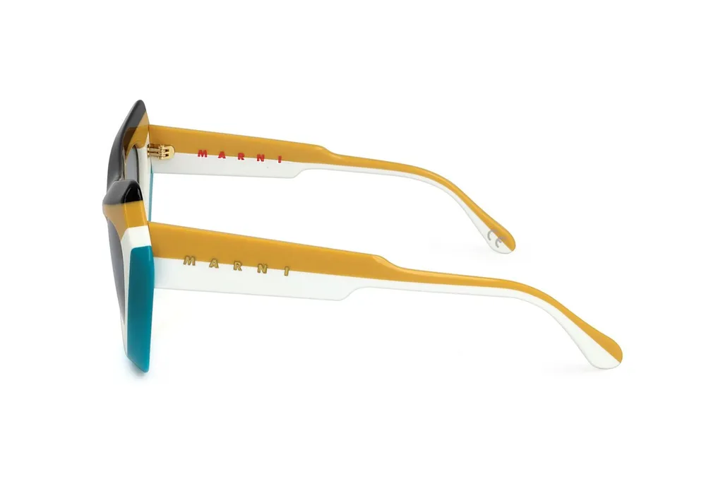 Marni Eyewear Devil's Pool Cat Eye Frame Sunglasses