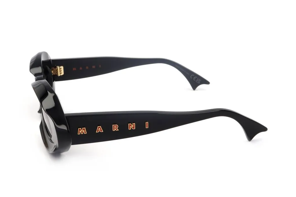 Marni Eyewear Oval Frame Sunglasses