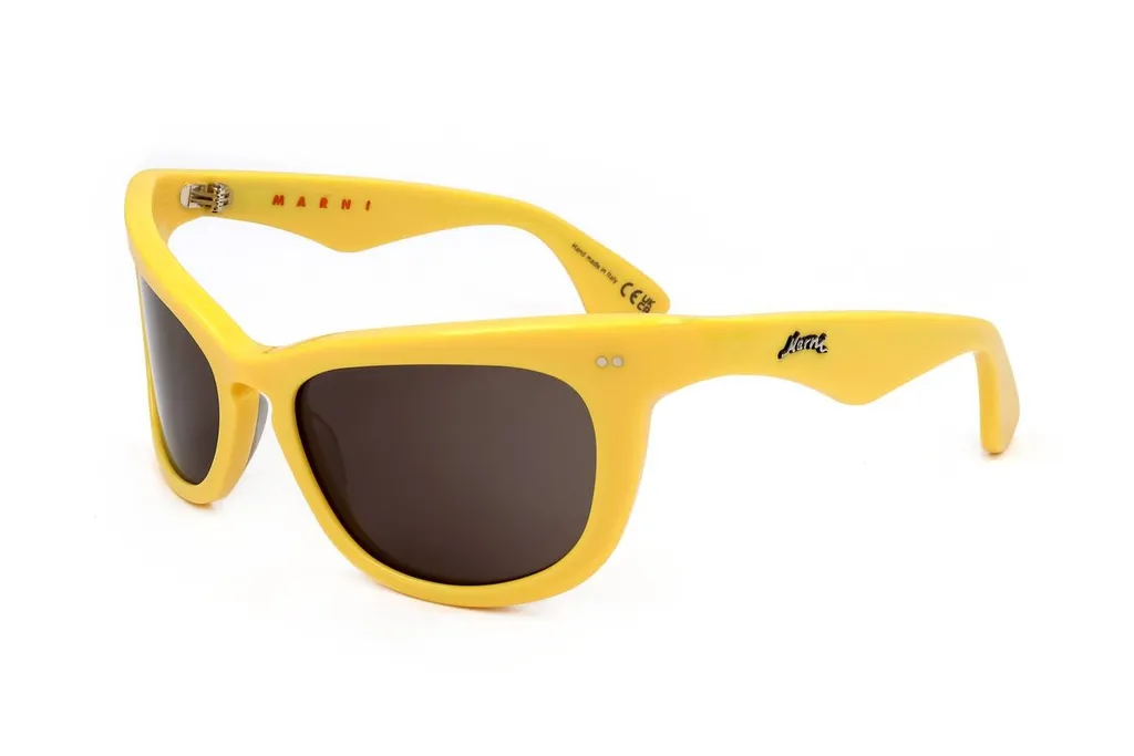 Marni Eyewear Cat Eye Frame Sunglasses