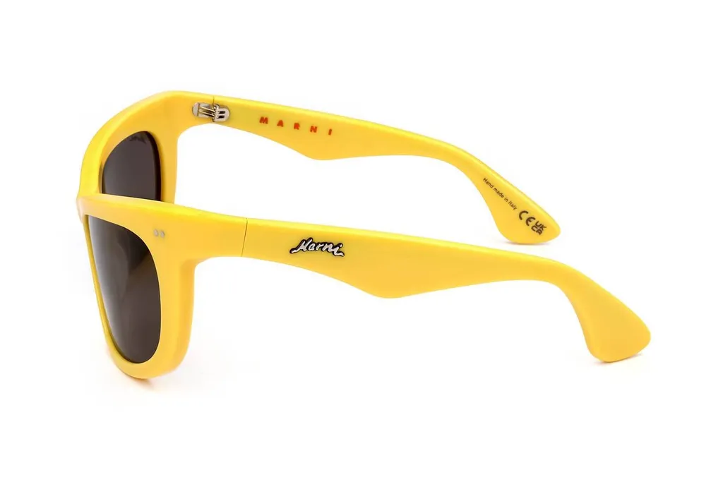 Marni Eyewear Cat Eye Frame Sunglasses