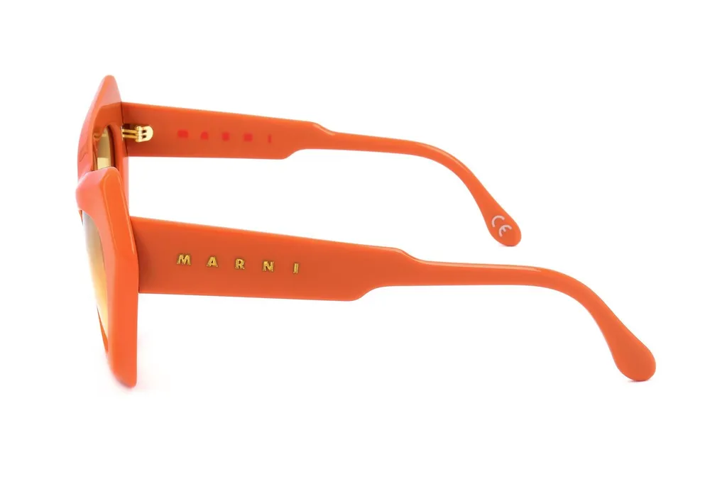 Marni Eyewear Devil's Pool Cat Eye Frame Sunglasses