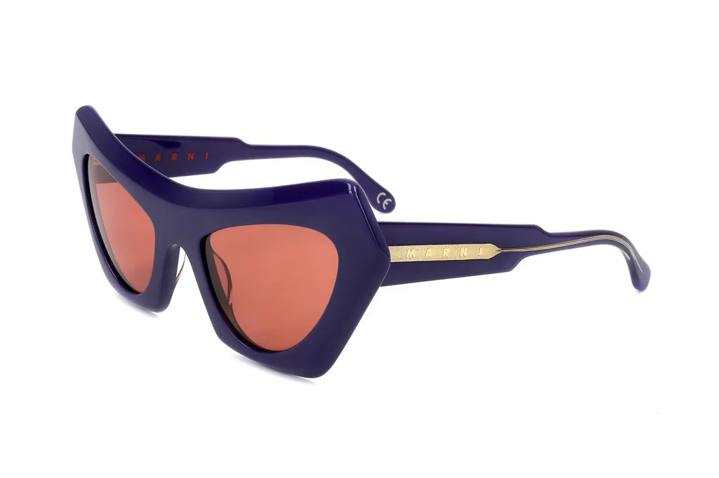 Marni Eyewear Devil's Pool Cat Eye Frame Sunglasses