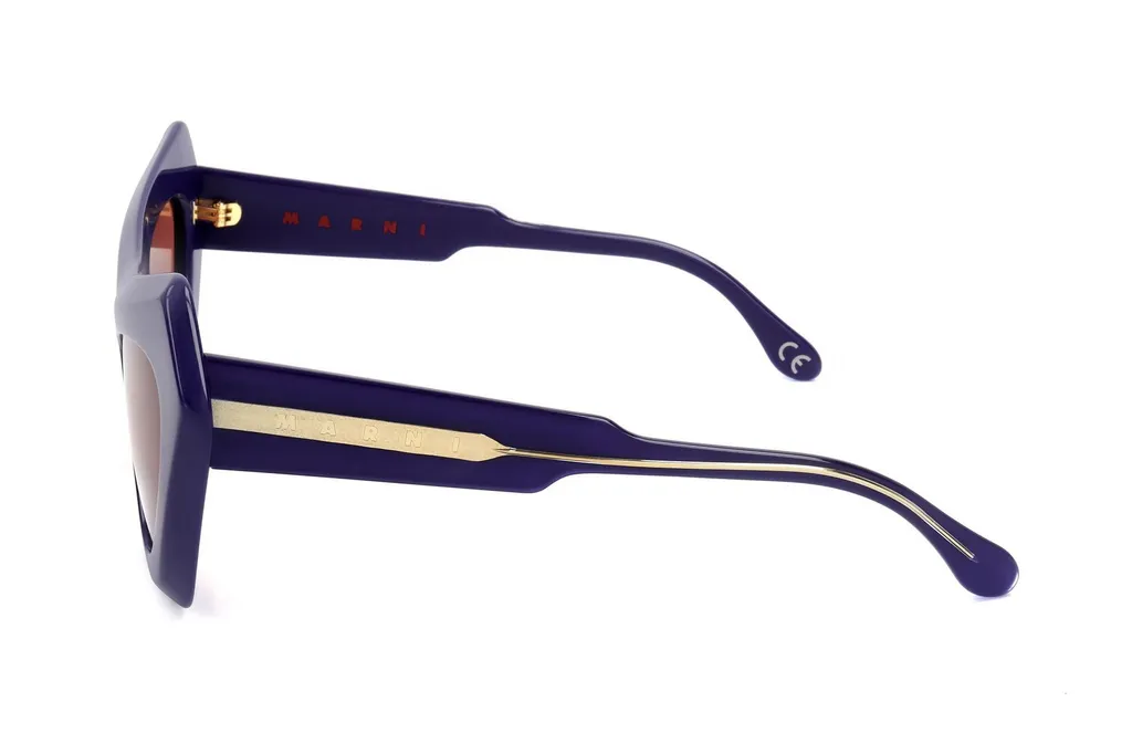 Marni Eyewear Devil's Pool Cat Eye Frame Sunglasses
