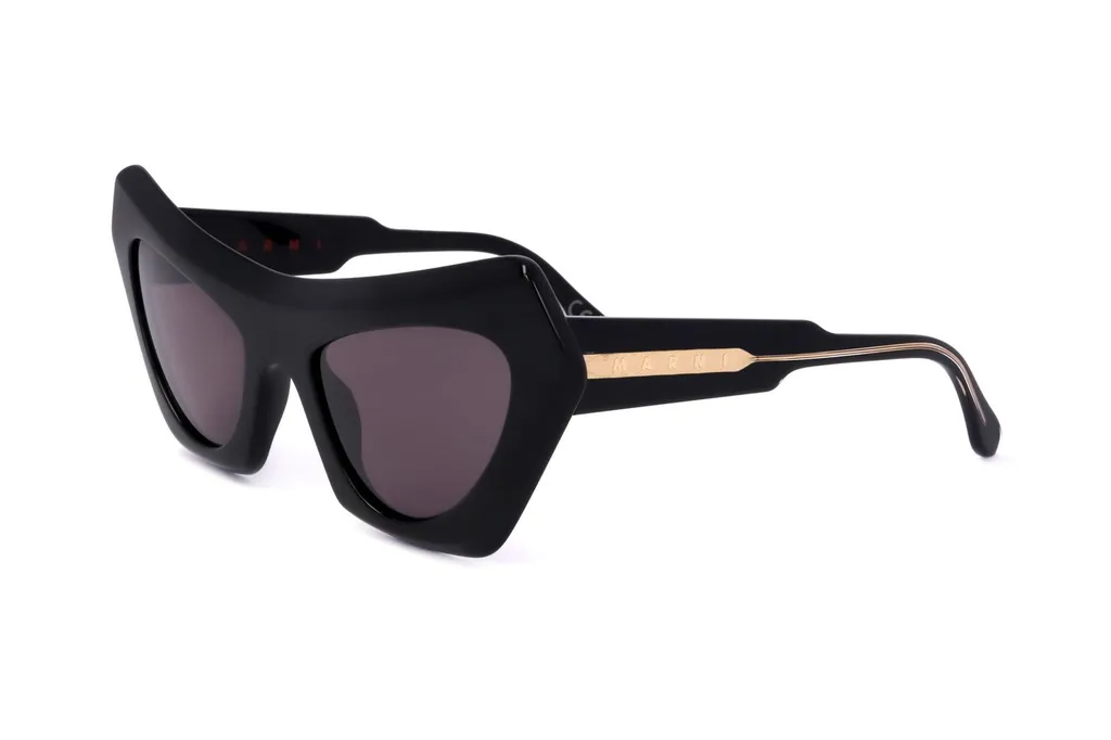 Marni Eyewear Devil's Pool Cat Eye Frame Sunglasses