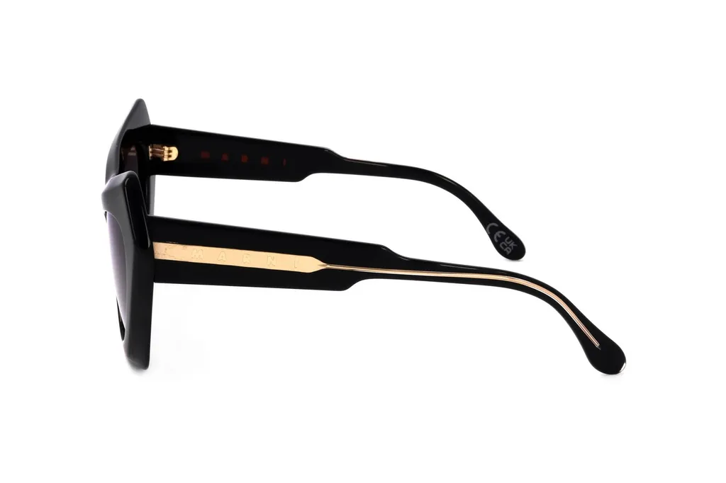 Marni Eyewear Devil's Pool Cat Eye Frame Sunglasses